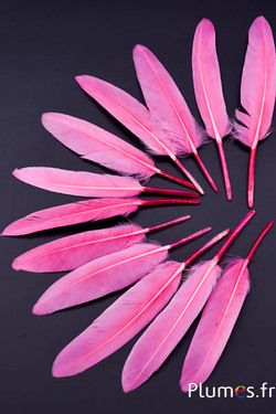 Oie Lame - 10-15 cm - rose